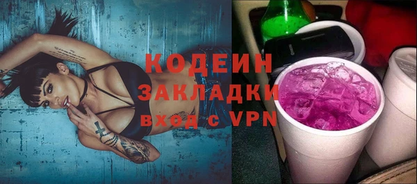 индика Верея